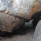 Mountain goat thumbnail