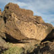 Pupfish Souzaphone thumbnail