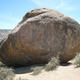 The Buttocks thumbnail