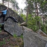 Sami Kiiskinen