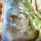 Big Stone thumbnail