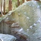 Dyke Surfer thumbnail