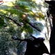 Good Mourning thumbnail