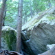 Backseat thumbnail