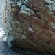 Gak thumbnail