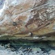 Law Of Gravity thumbnail