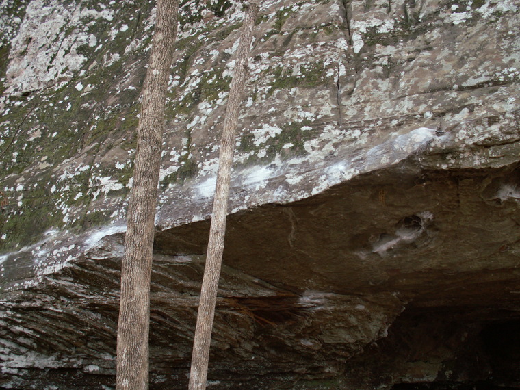 Main area