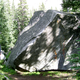 Silverback thumbnail