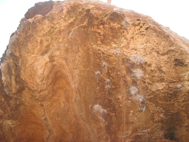 Beth Wald Boulder