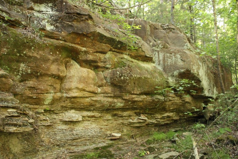 Creek Bed