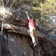Tyler Shearer