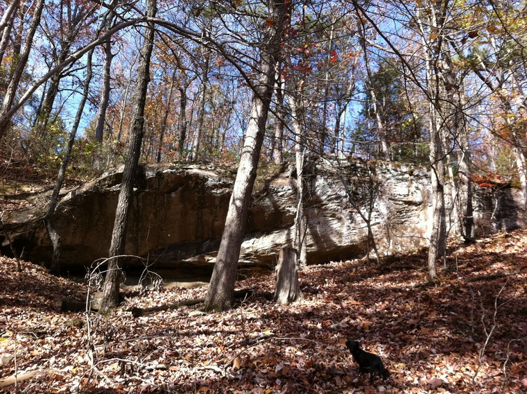 The Pit
