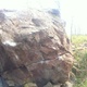 Krokus thumbnail