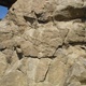 Under the bridge thumbnail