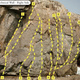 The black crack thumbnail