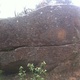 Tall Enough thumbnail