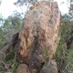 Unnamed2 thumbnail