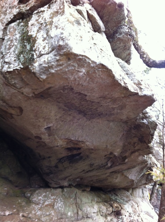 The Perch