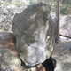 le Pilier Blanc thumbnail