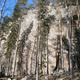 Taivaanporttivariaatio thumbnail