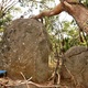 Sanga Buttcrack thumbnail
