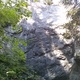 Face thumbnail