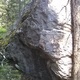 Flippa thumbnail