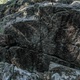 Радость / Joy thumbnail