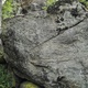 Сапоги / Boots thumbnail