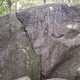 Teddy Bear Picnic thumbnail