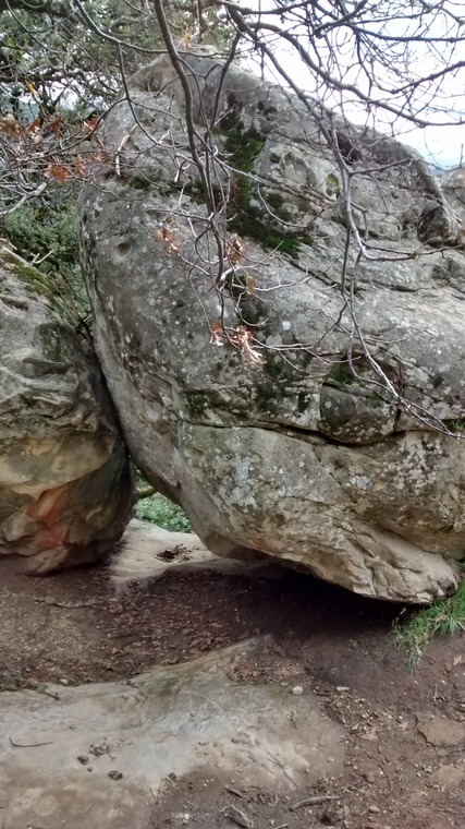 Goat rock