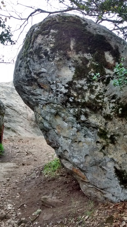 Goat rock