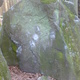 Windei thumbnail