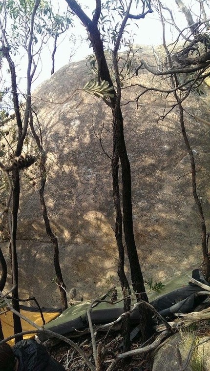 The Slabs