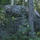 Ехидна / Echidna thumbnail