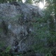 Чертополох / Thistle thumbnail