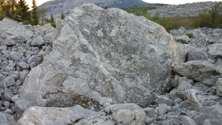 Skull slab
