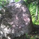 Муха / Fly thumbnail