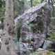 Anulinkova Hrana thumbnail