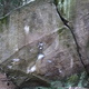 King Kong thumbnail
