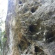 The Glands L1 thumbnail