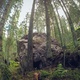 Кирин-Торн / Kirin-Thorne thumbnail
