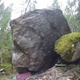 Снегири-герои/Bullfinch-heroes thumbnail