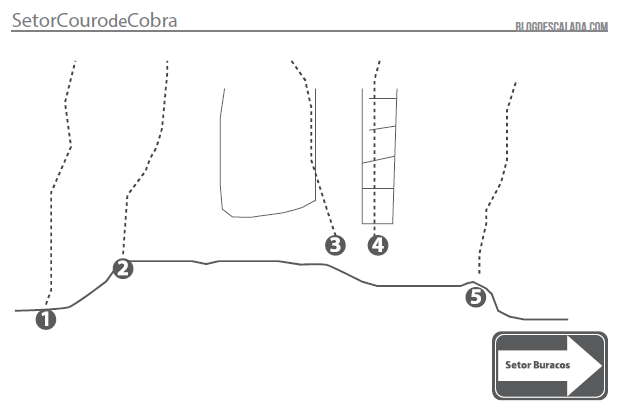 Couro de Cobra