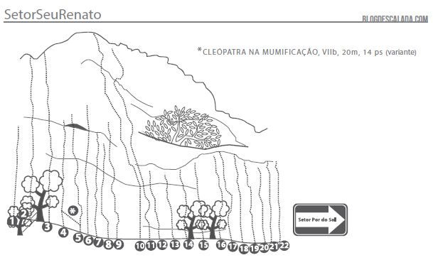 Seu Renato