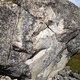 Epidote thumbnail