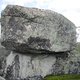 Björnkram thumbnail