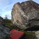 Polly thumbnail