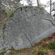 Particule Elementaire thumbnail
