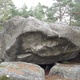 Seastar thumbnail